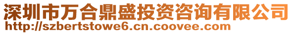 深圳市萬合鼎盛投資咨詢有限公司
