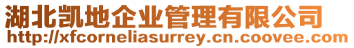 湖北凱地企業(yè)管理有限公司