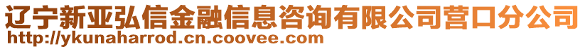 遼寧新亞弘信金融信息咨詢有限公司營口分公司