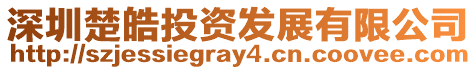 深圳楚皓投資發展有限公司