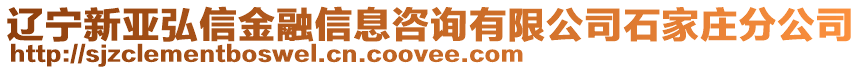 遼寧新亞弘信金融信息咨詢有限公司石家莊分公司