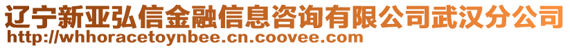 遼寧新亞弘信金融信息咨詢有限公司武漢分公司