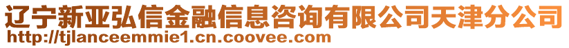 遼寧新亞弘信金融信息咨詢有限公司天津分公司