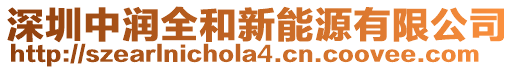 深圳中潤全和新能源有限公司