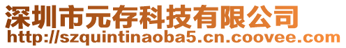 深圳市元存科技有限公司
