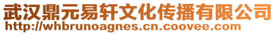 武漢鼎元易軒文化傳播有限公司