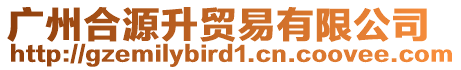 廣州合源升貿易有限公司