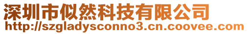 深圳市似然科技有限公司
