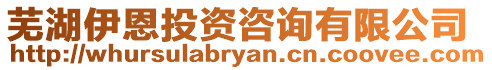 蕪湖伊恩投資咨詢有限公司