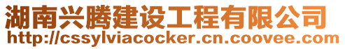 湖南興騰建設工程有限公司