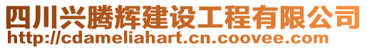 四川興騰輝建設工程有限公司