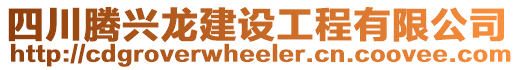 四川騰興龍建設工程有限公司