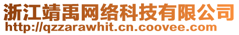 浙江靖禹網(wǎng)絡(luò)科技有限公司