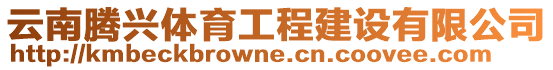 云南騰興體育工程建設有限公司