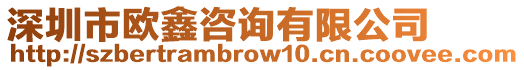 深圳市歐鑫咨詢有限公司