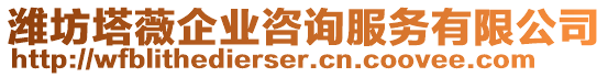 濰坊塔薇企業(yè)咨詢服務(wù)有限公司