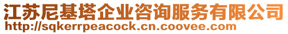 江蘇尼基塔企業(yè)咨詢服務有限公司