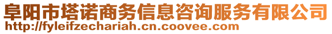 阜陽市塔諾商務(wù)信息咨詢服務(wù)有限公司