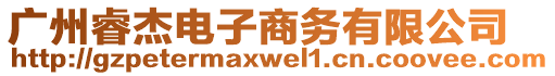 廣州睿杰電子商務有限公司