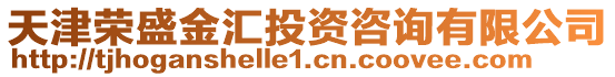 天津榮盛金匯投資咨詢有限公司