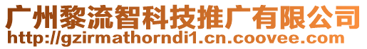廣州黎流智科技推廣有限公司