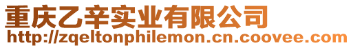 重慶乙辛實業有限公司
