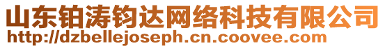 山東鉑濤鈞達網(wǎng)絡(luò)科技有限公司