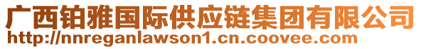 廣西鉑雅國際供應(yīng)鏈集團(tuán)有限公司