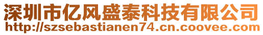 深圳市億風(fēng)盛泰科技有限公司