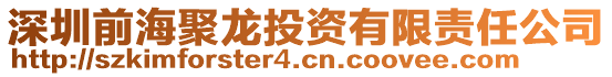 深圳前海聚龍投資有限責任公司