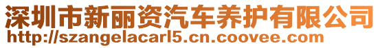 深圳市新麗資汽車養(yǎng)護(hù)有限公司