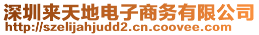 深圳來(lái)天地電子商務(wù)有限公司