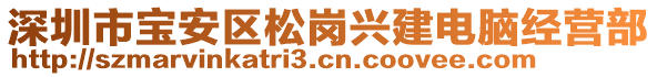 深圳市寶安區(qū)松崗興建電腦經(jīng)營部