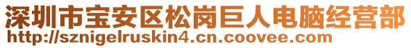 深圳市寶安區(qū)松崗巨人電腦經(jīng)營部