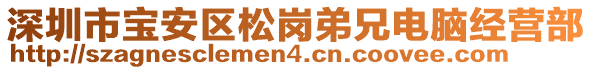 深圳市寶安區(qū)松崗弟兄電腦經營部