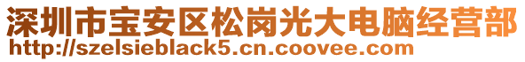 深圳市寶安區(qū)松崗光大電腦經(jīng)營部