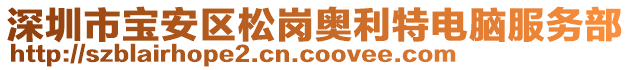 深圳市寶安區(qū)松崗?qiáng)W利特電腦服務(wù)部