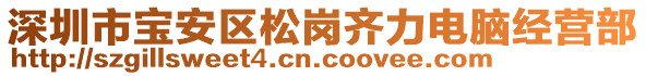 深圳市寶安區(qū)松崗齊力電腦經(jīng)營(yíng)部