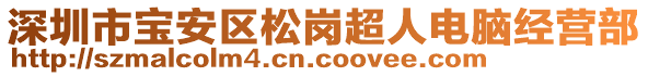 深圳市寶安區(qū)松崗超人電腦經營部