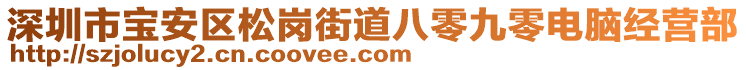 深圳市寶安區(qū)松崗街道八零九零電腦經(jīng)營部