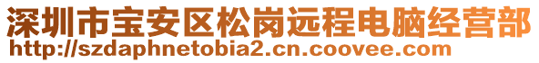 深圳市寶安區(qū)松崗遠(yuǎn)程電腦經(jīng)營部