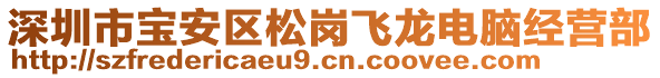 深圳市寶安區(qū)松崗飛龍電腦經(jīng)營部