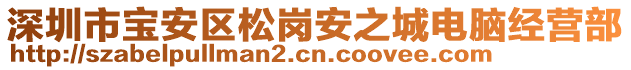 深圳市寶安區(qū)松崗安之城電腦經(jīng)營(yíng)部