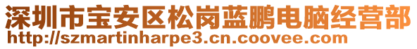 深圳市寶安區(qū)松崗藍(lán)鵬電腦經(jīng)營部