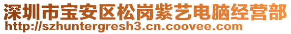 深圳市寶安區(qū)松崗紫藝電腦經(jīng)營(yíng)部