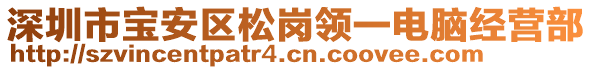 深圳市寶安區(qū)松崗領(lǐng)一電腦經(jīng)營部