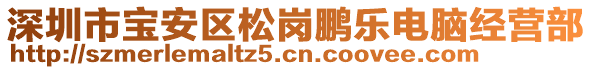 深圳市寶安區(qū)松崗鵬樂(lè)電腦經(jīng)營(yíng)部