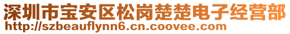 深圳市寶安區(qū)松崗楚楚電子經(jīng)營(yíng)部