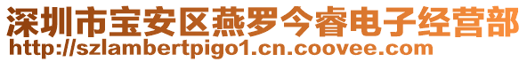 深圳市寶安區(qū)燕羅今睿電子經營部