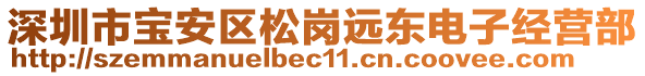 深圳市寶安區(qū)松崗遠(yuǎn)東電子經(jīng)營(yíng)部